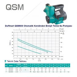 Duffmart QSM600 Kendinden Emişli Sıcak Soğuk Su Pompası